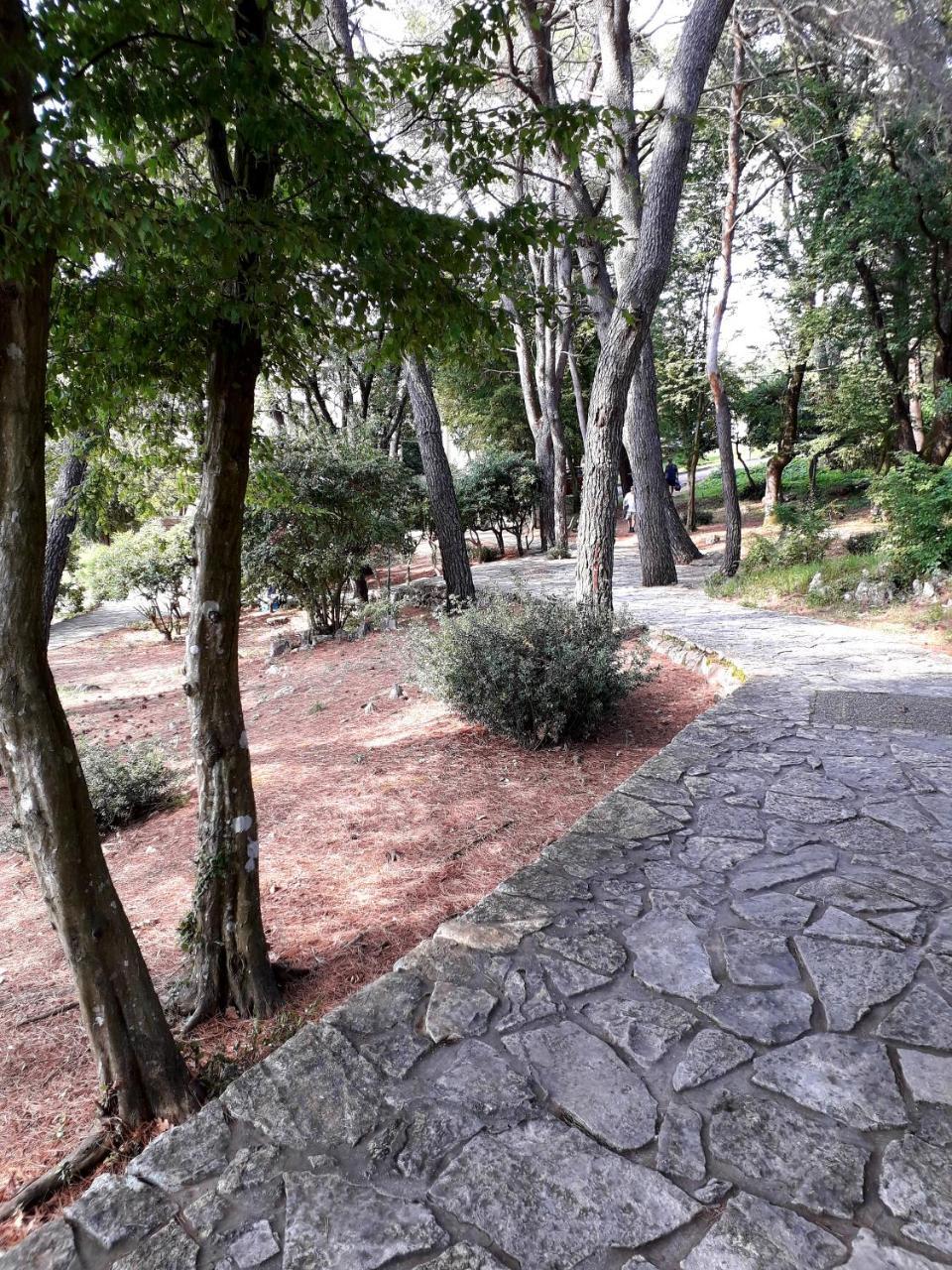 Apartments And Rooms Haludovo - Ribarsko Selo Malinska Esterno foto